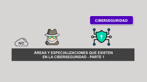 10 Áreas y Especializaciones de La Ciberseguridad – Parte 1 10 Áreas y Especializaciones de La Ciberseguridad – Parte 1