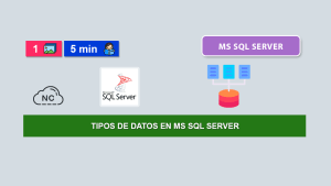 Tipos de Datos en MS SQL Server Tipos de Datos en MS SQL Server