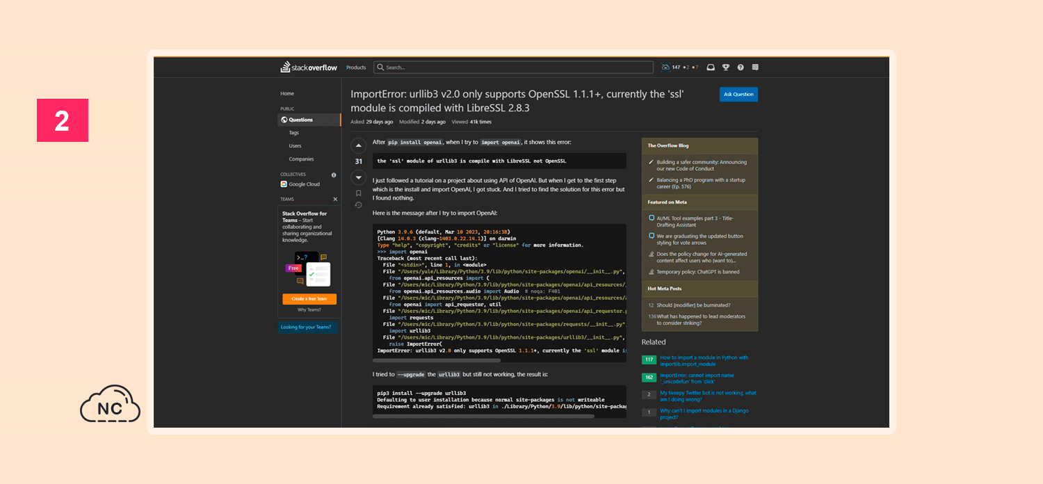 El usuario prismwatermelon busca ayuda en Stack Overflow con su problema de Python y OpenAI Consulta en Stack Overflow del usuario prismwatermelon