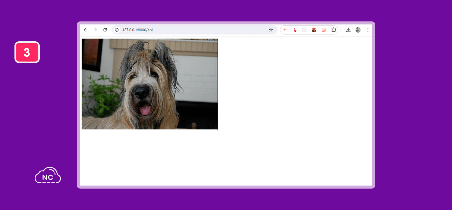Puedes hacerlo con las APIs que desees en Laravel Imagen de la API cargada correctamente en Laravel