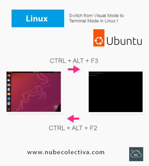 Switch from Visual Mode to Terminal Mode in Linux (Ubuntu) !