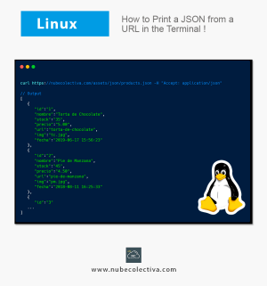 Como Imprimir un JSON desde una URL en la Terminal de Linux !