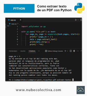 Como Extraer Texto de un PDF con Python