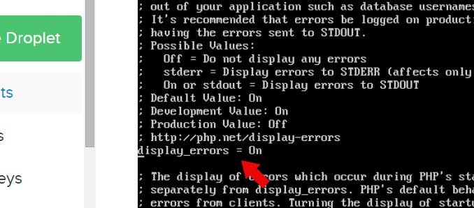 Descomentar la línea display_errors = On Archivo php.ini abierto en la terminal de comandos