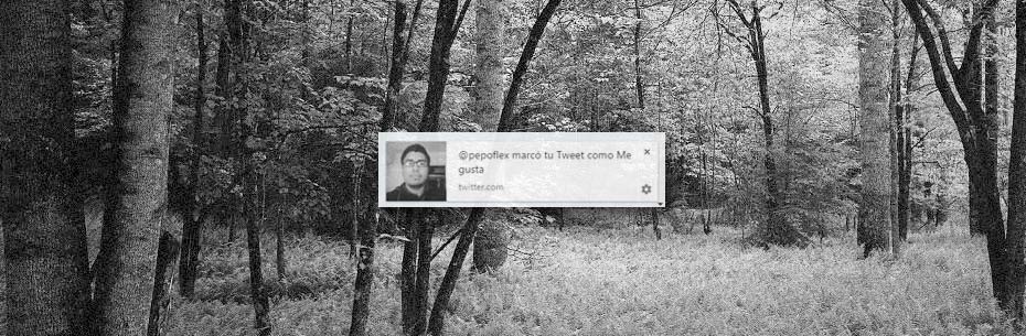 Twitter: Como activar las Notificaciones Web Twitter: Como activar las Notificaciones Web