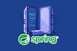 VPS Para Spring Framework
