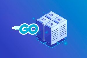 VPS Para Go
