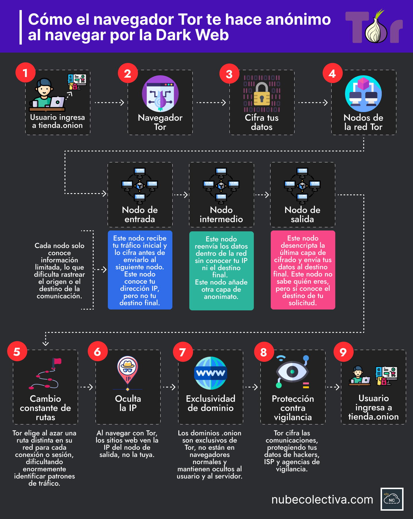 Cómo Tor te Hace Anónimo al Navegar por la Dark Web