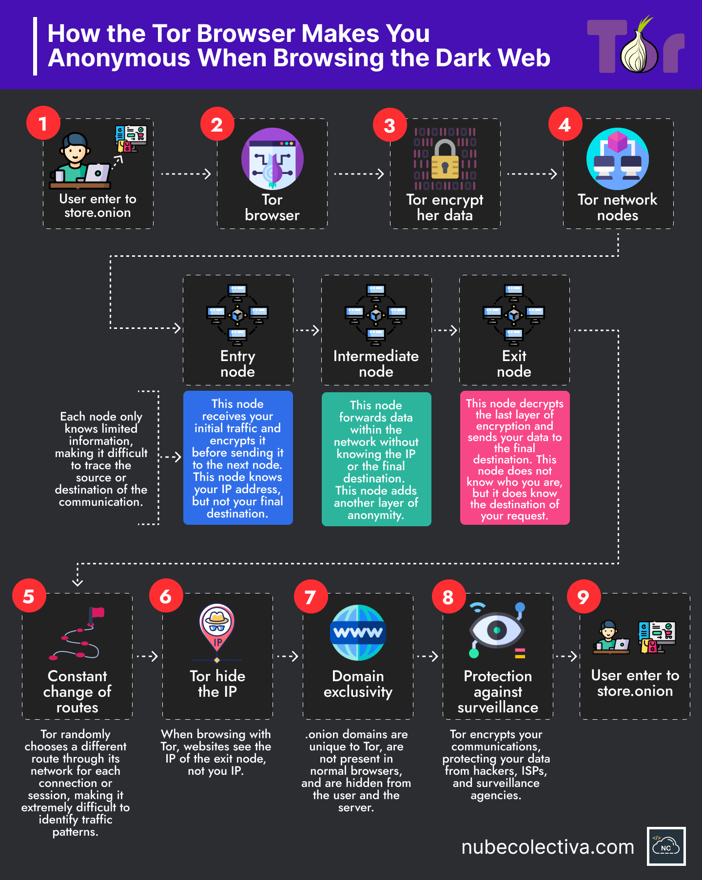 How Tor Makes You Anonymous When Browsing the Dark Web