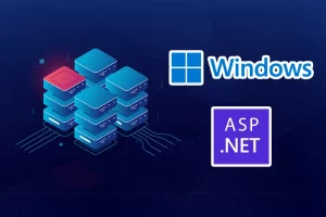 VPS Para ASP.NET