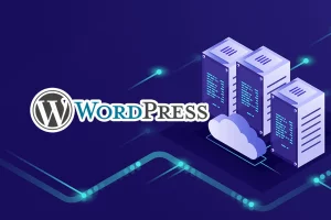 VPS Para WordPress