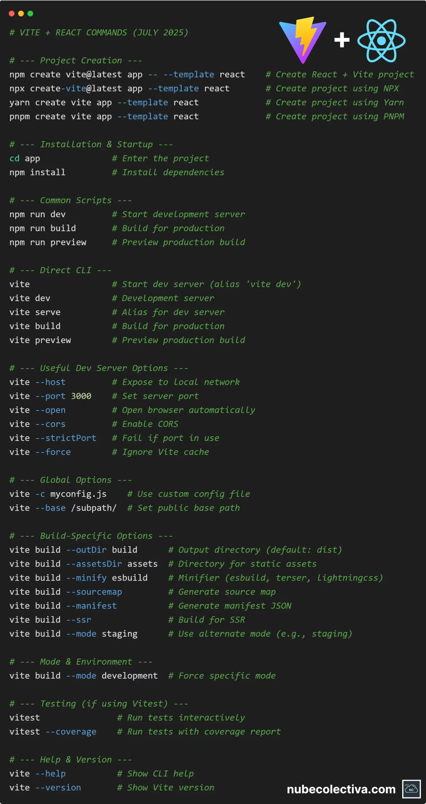 List of Vite and React Commands