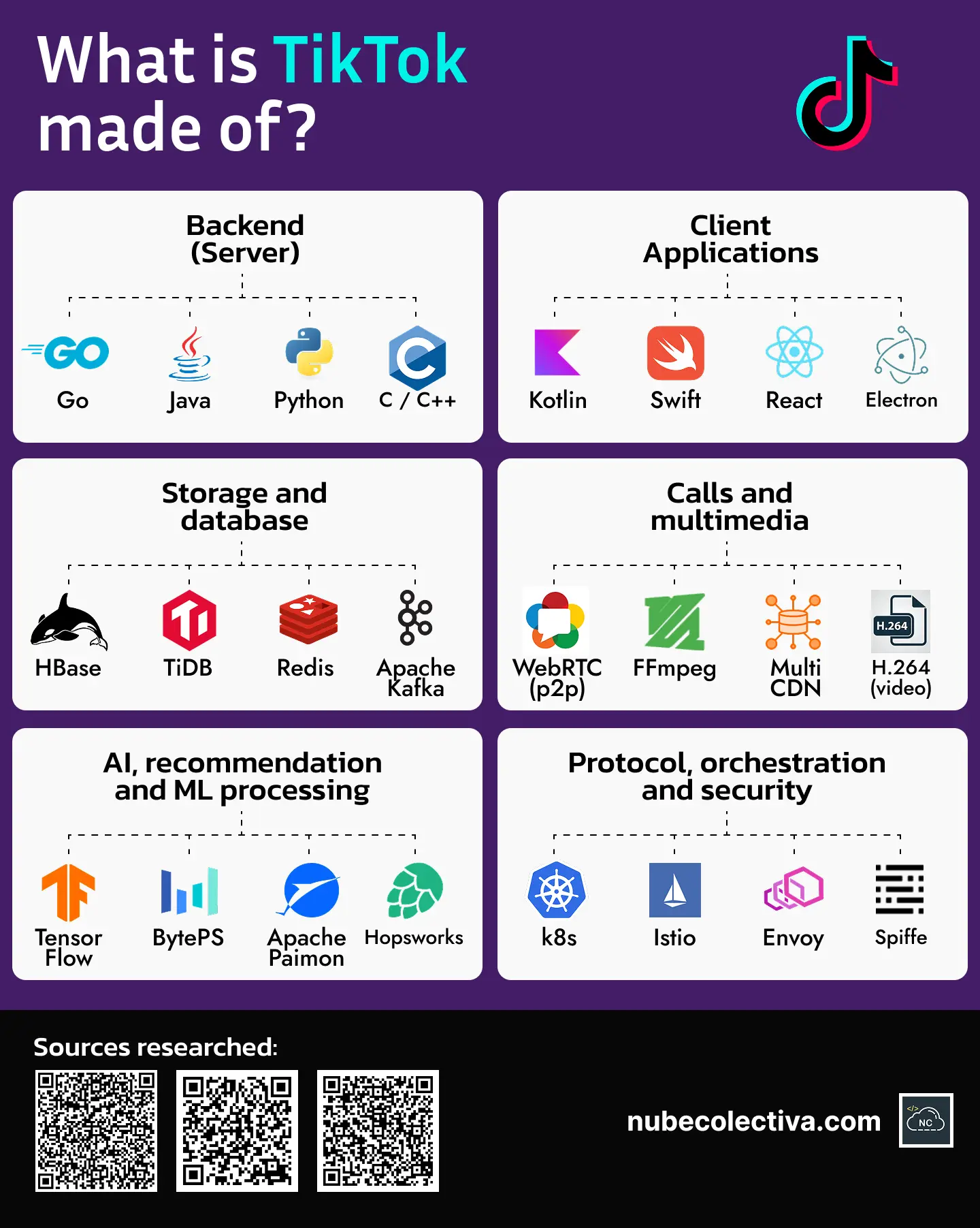 What is TikTok made of?