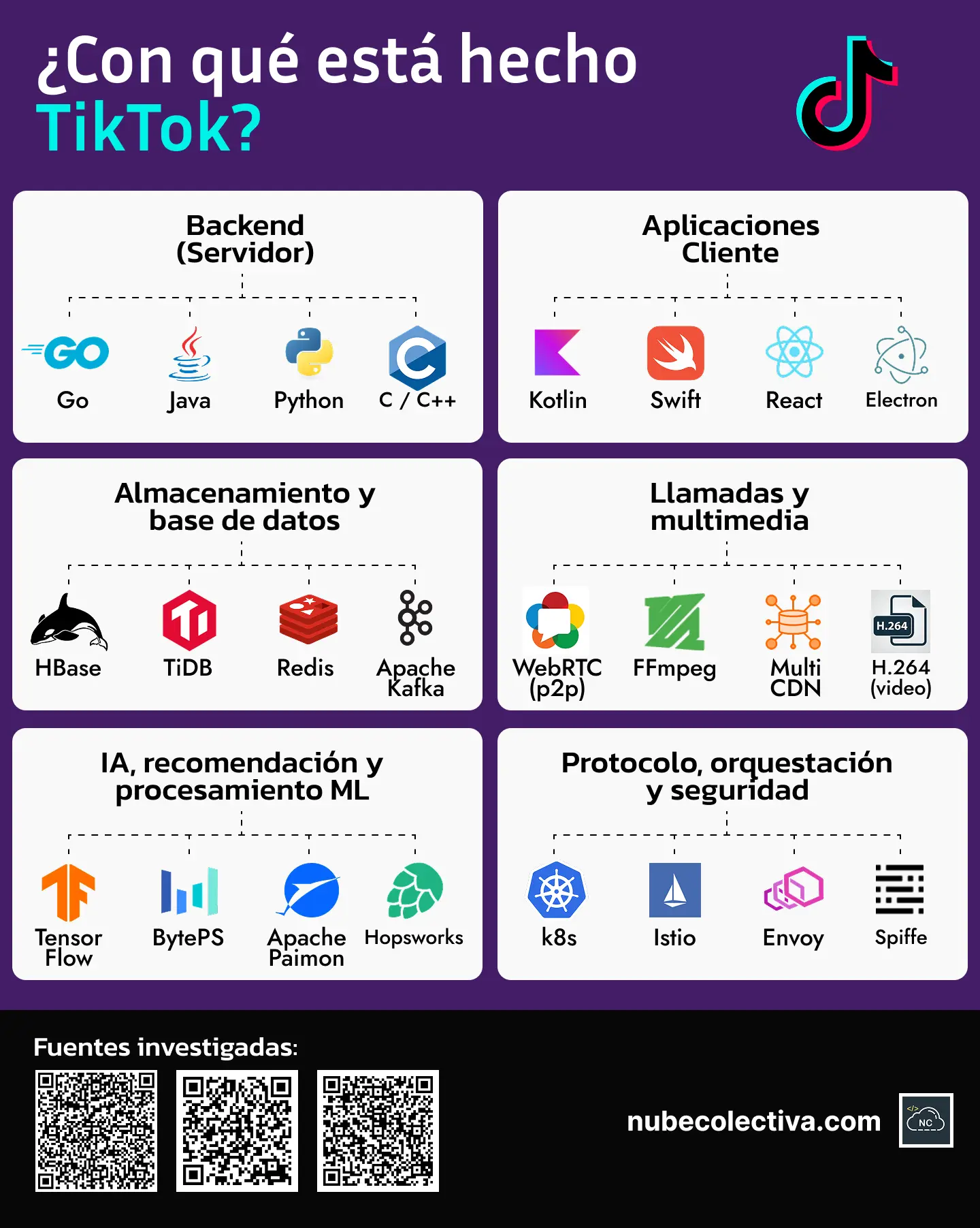 ¿Con Qué está hecho TikTok?